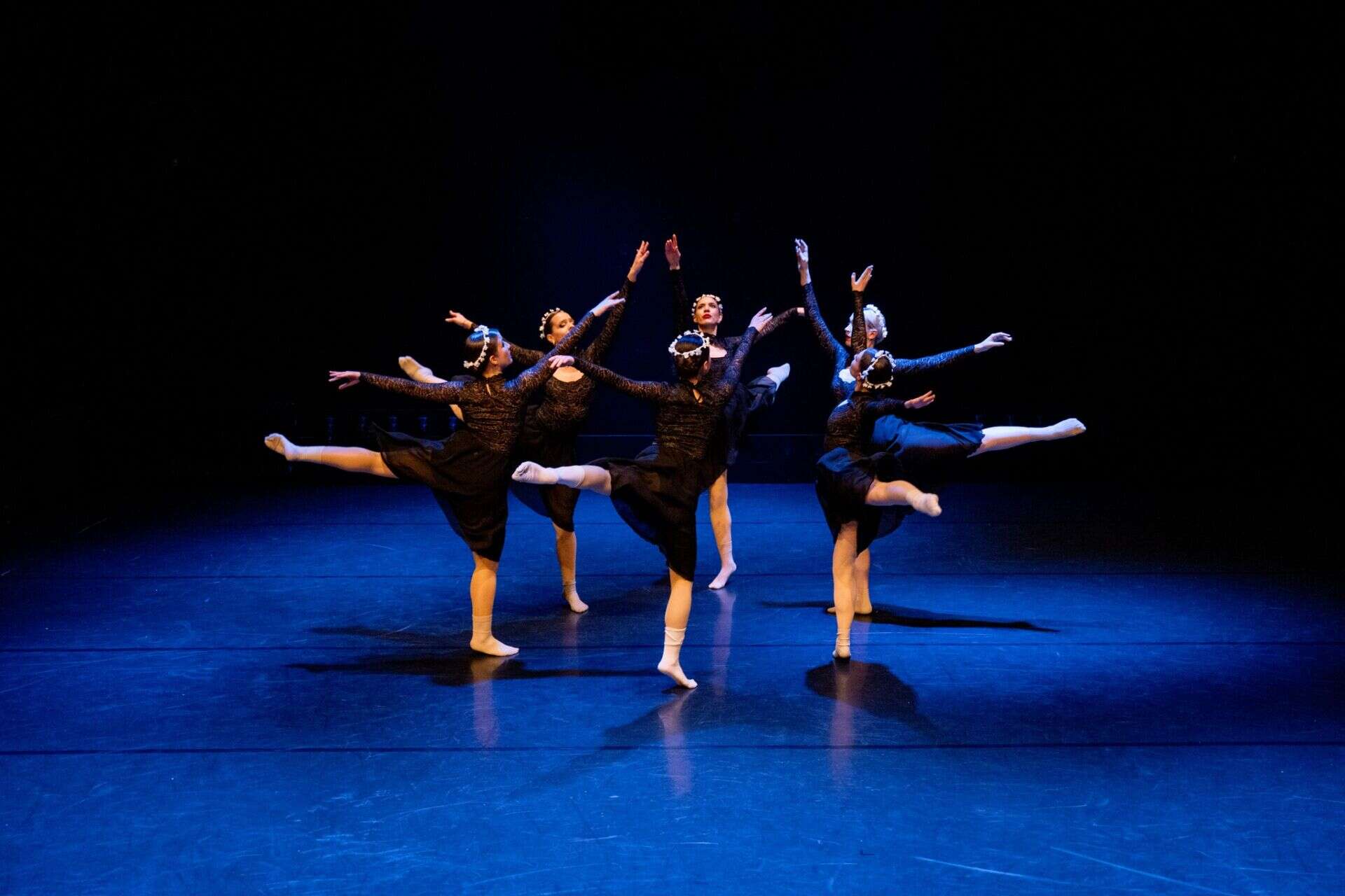 Akademija za ples se predstavi v vsej svoji raznolikosti in gibljivosti.